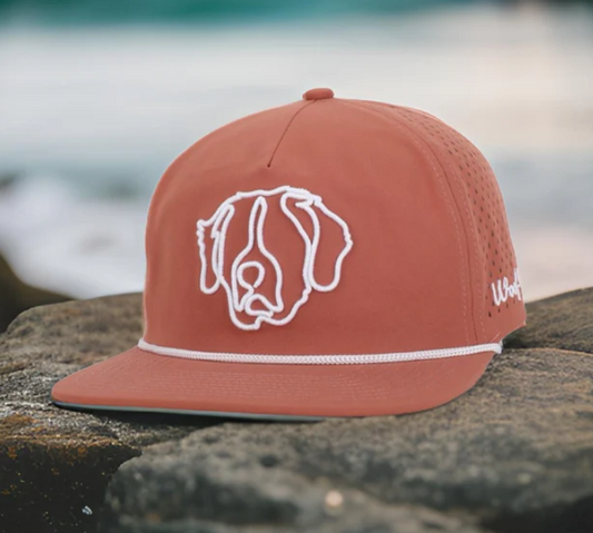 Introducing the Denali Bernese Mountain Dog Hat from WoofCaps.com