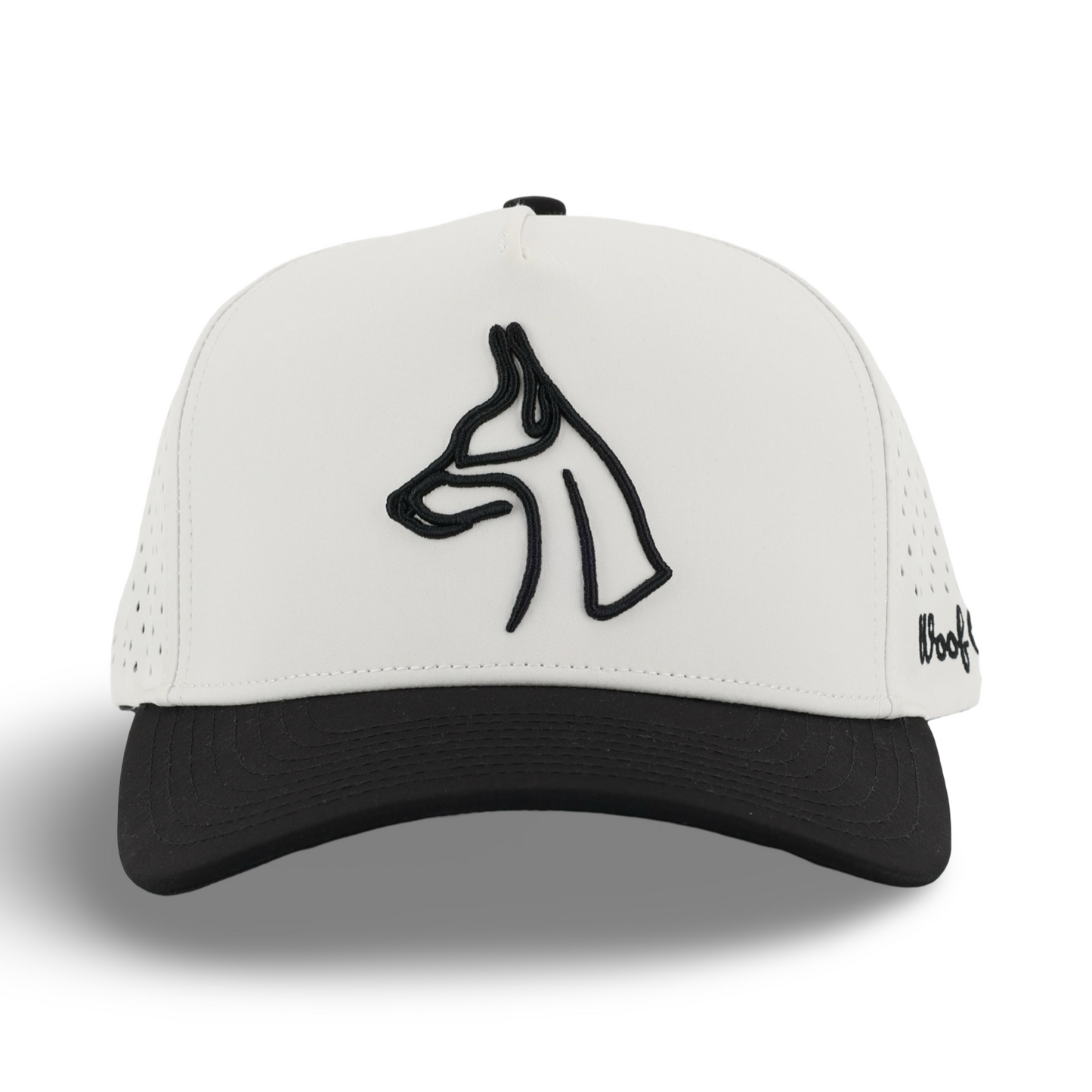 Draco | Doberman Tan/Black