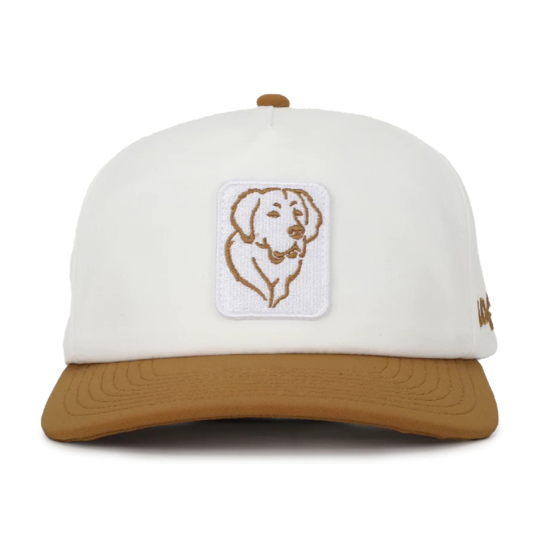 Bentley | Golden Retriever