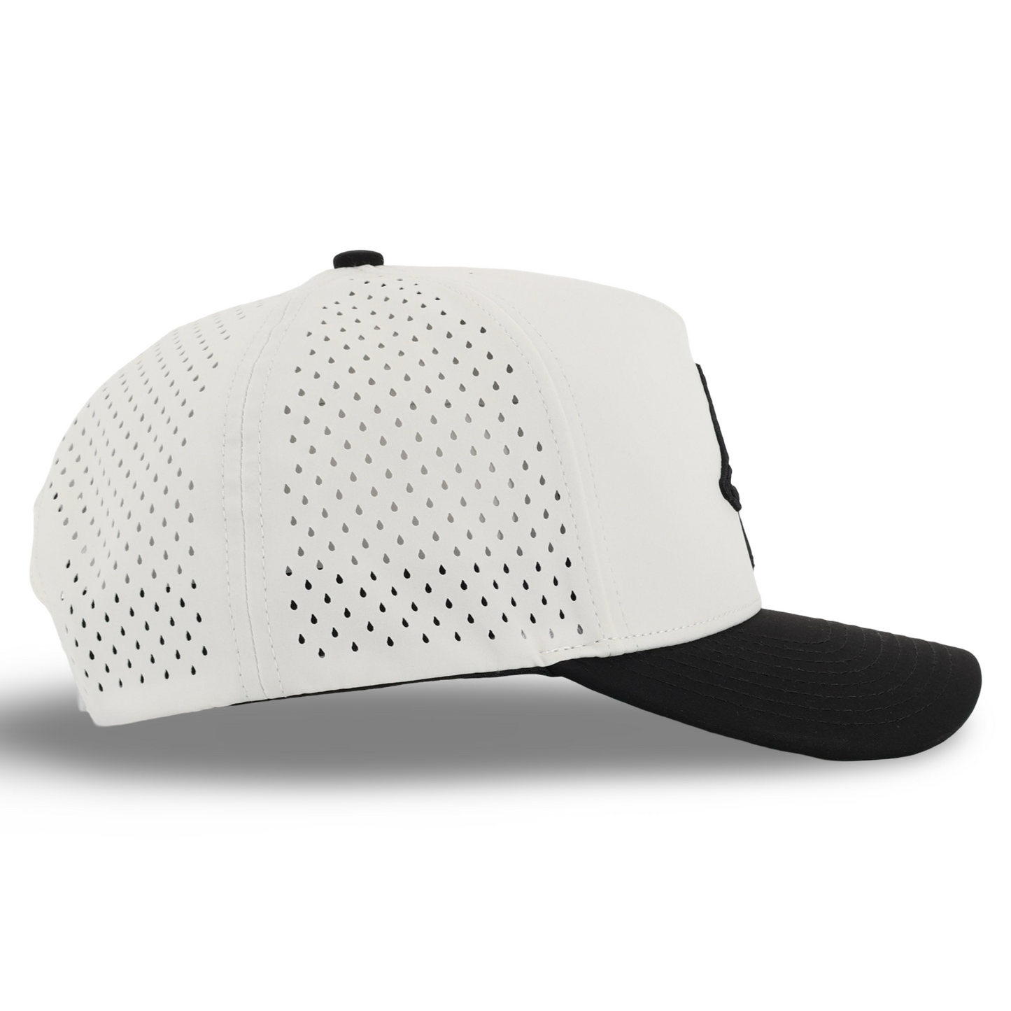 Draco | Doberman Tan/Black