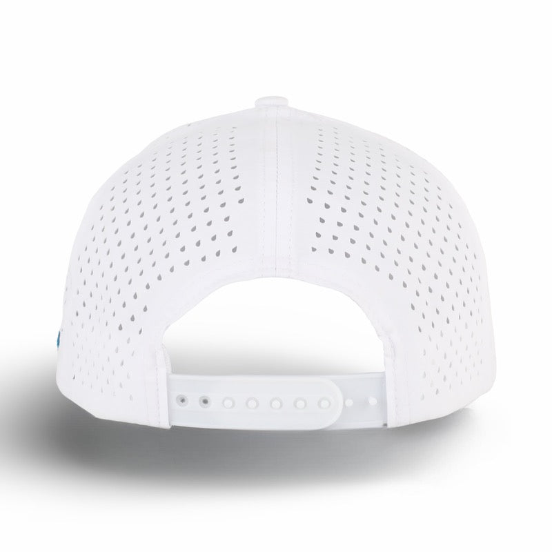 Frankie | White Corgi