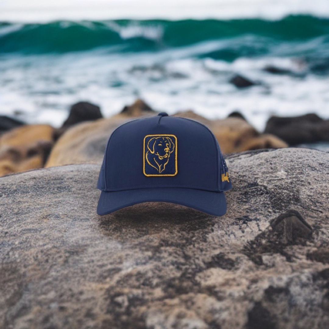 Bentley | Golden Retriever Cap