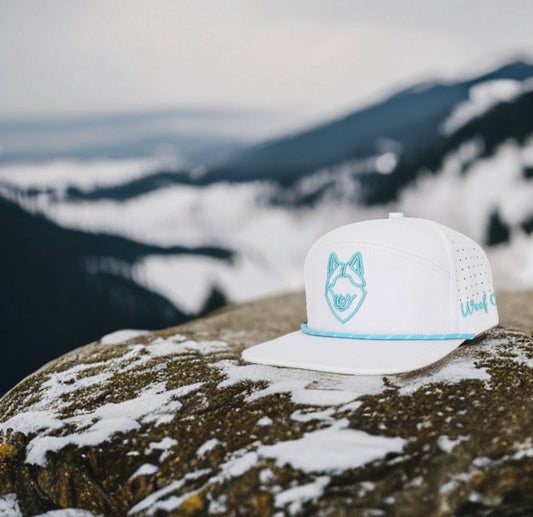 Unleash Your Style with Woofcaps.com: Where Dog-Themed Hats Steal the Show!