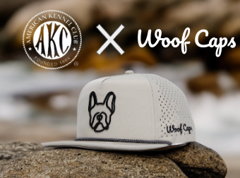 AKC Museum of the Dog Teams Up with WoofCaps: Where Pups and Fashion Collide!