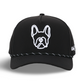 Chubs | Black Frenchie Hat (Pre Order)