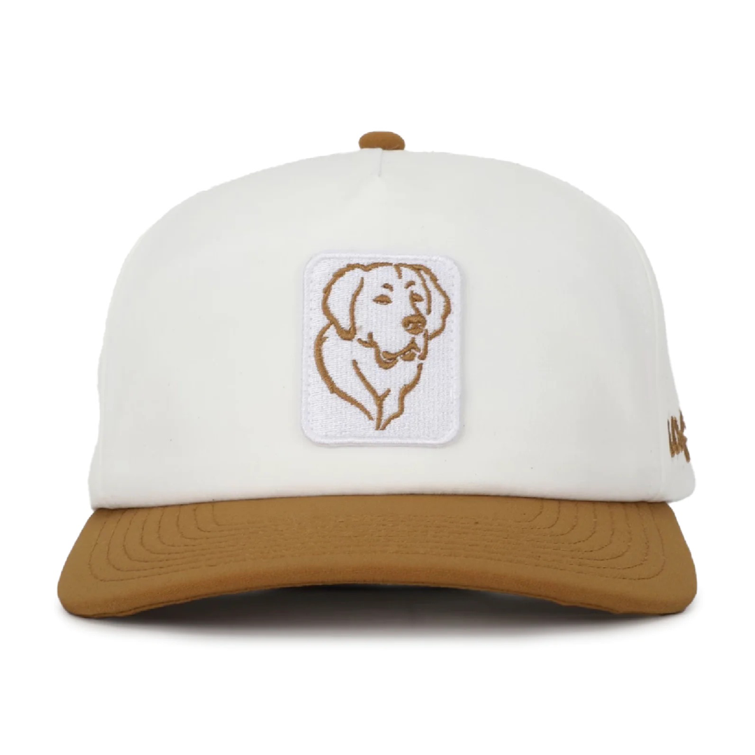 Bentley | Golden Retriever Hat