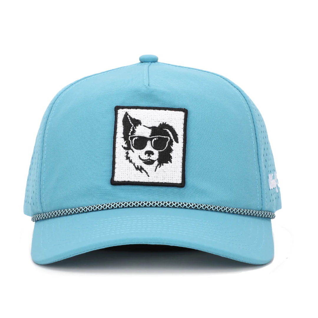 Winston | Border Collie Hat