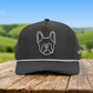 Chubs | Frenchie (Dark Grey)