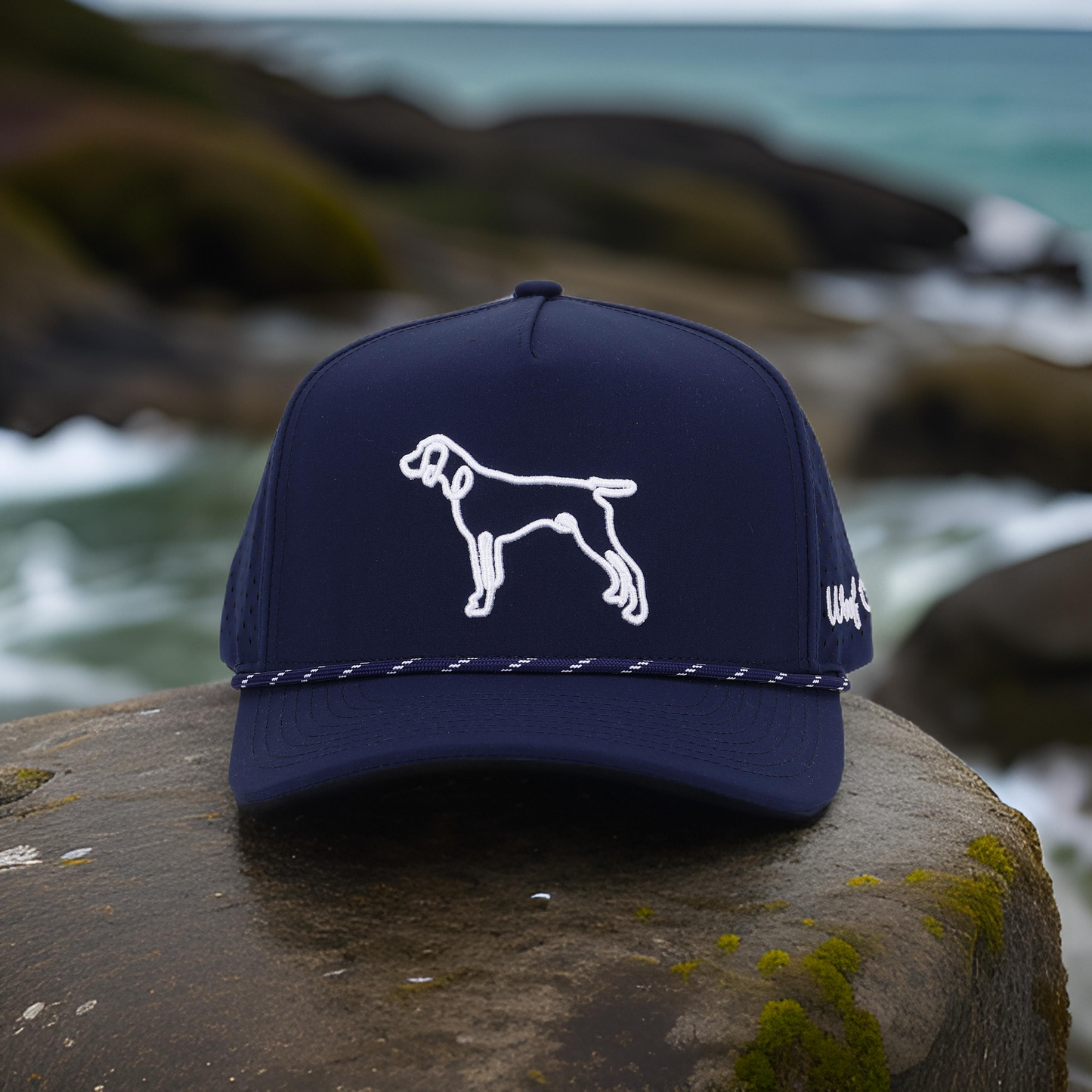 Huck | Pointer Navy